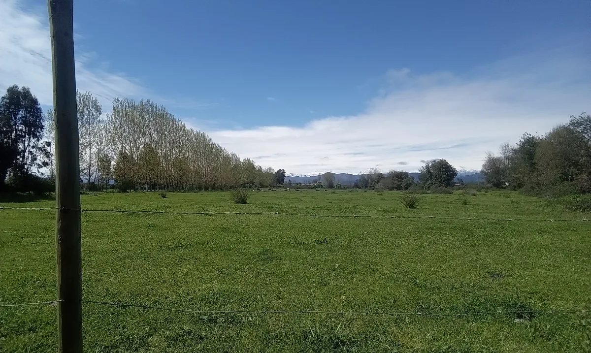 Terreno parcela 5.000m2 — foto 1
