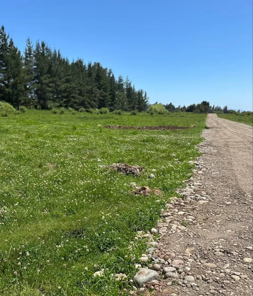Terreno parcela 5.000m2 — foto 2
