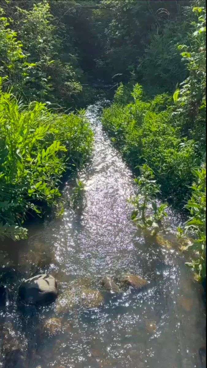 Terreno parcela 5.000m2 — foto 3