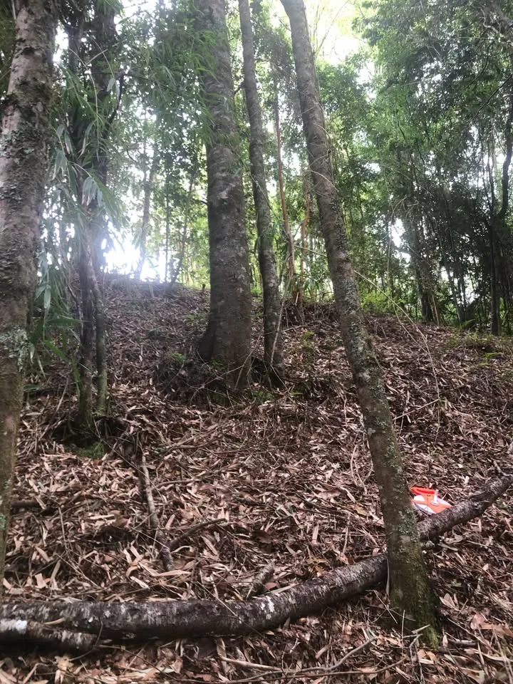 Parcela de 5000 m2 en Osorno, sector Hullinco (conversable) — foto 2