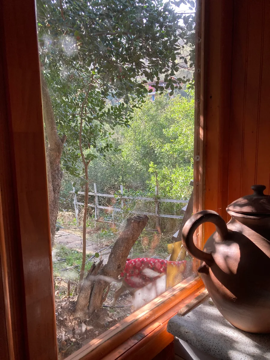 Parcela 5.000 m2, casa, bosque y arboles frutales — foto 4