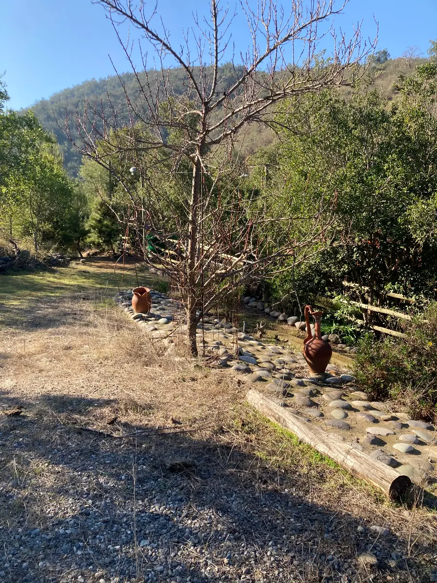 Parcela 5.000 m2, casa, bosque y arboles frutales — foto 7