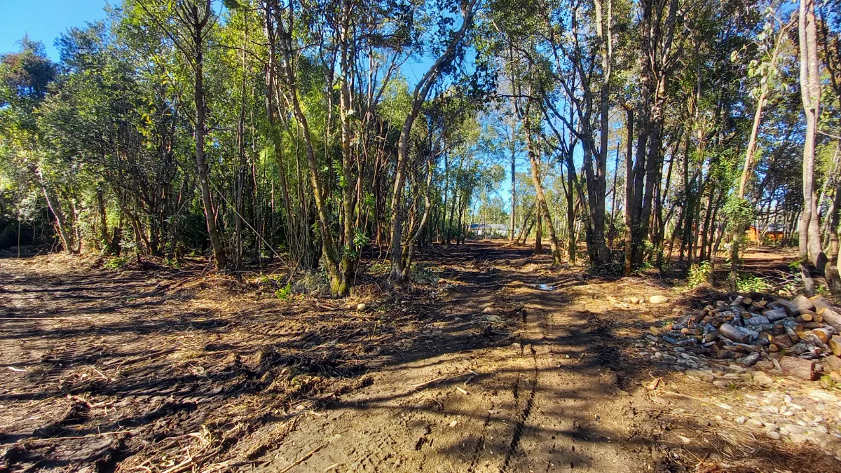 Vendo Parcela Villarrica  — foto 6