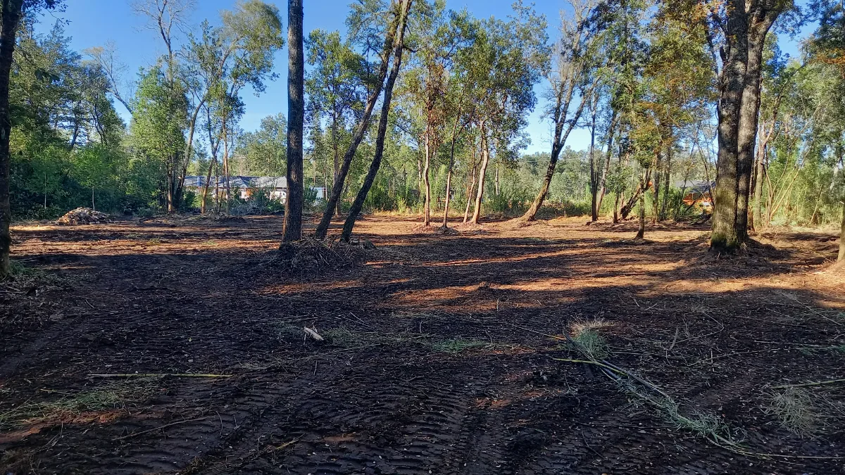 Vendo Parcela Villarrica  — foto 3
