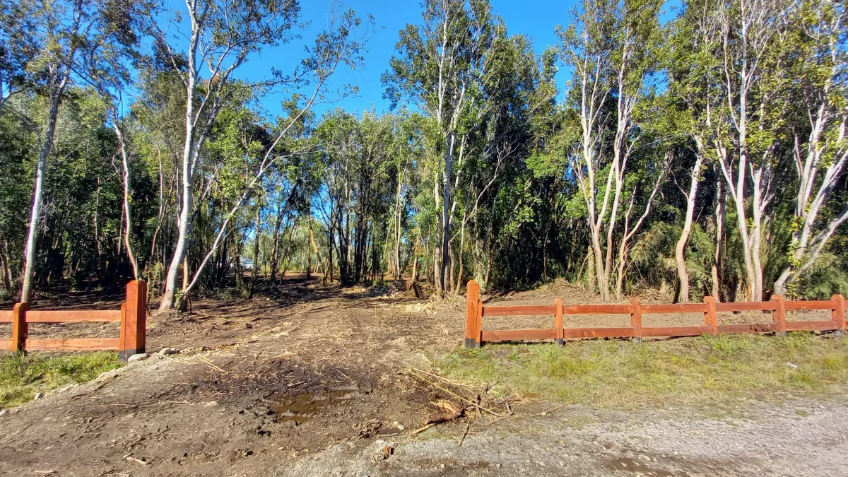 Vendo Parcela Villarrica  — foto 5