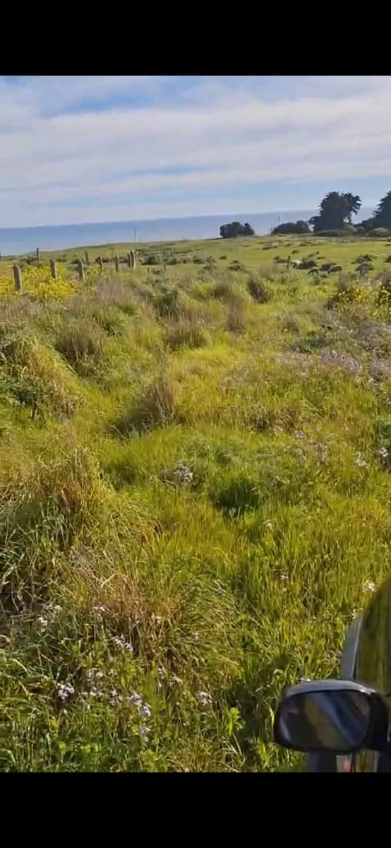 Terreno mostazal Santo Domingo  — foto 3