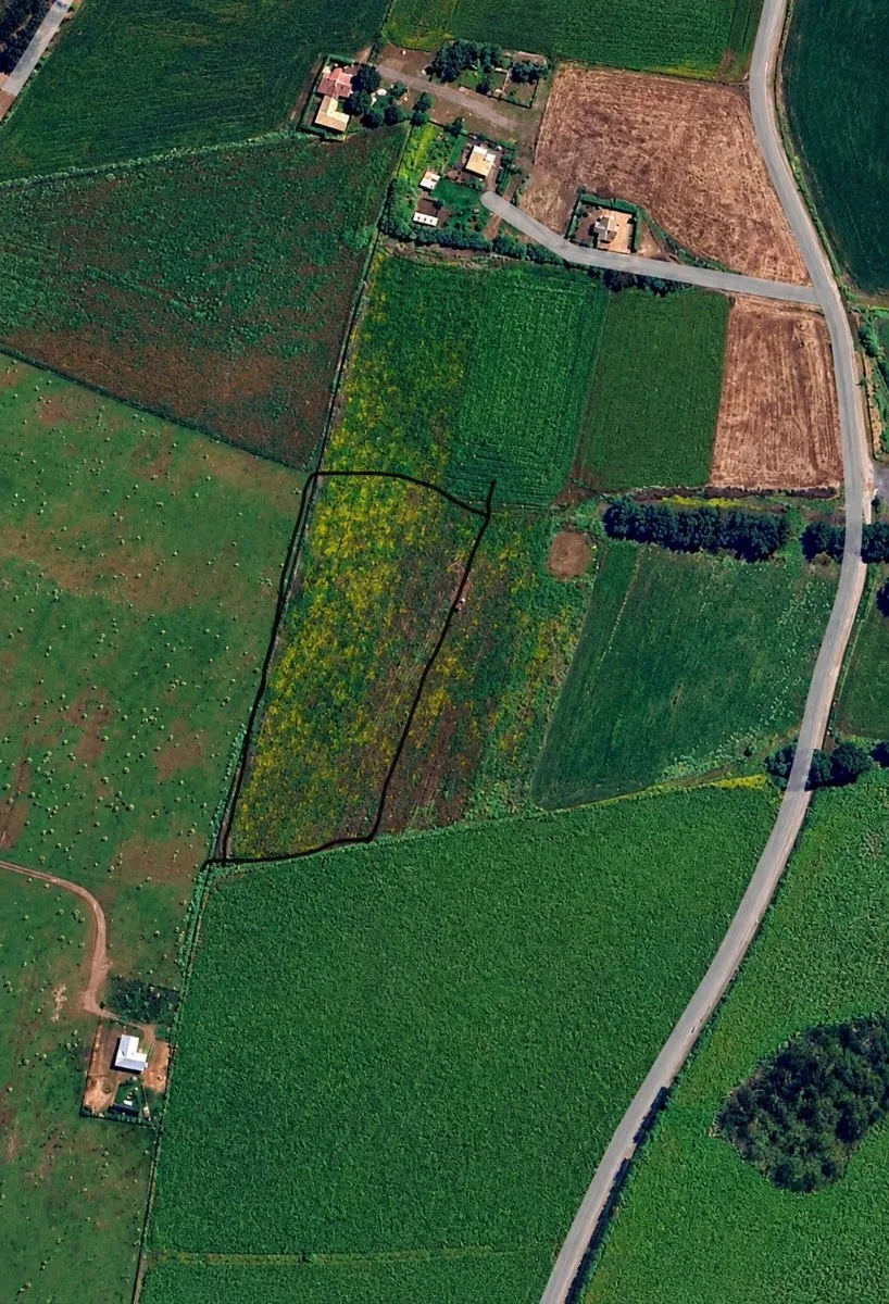 Terreno mostazal Santo Domingo  — foto 5