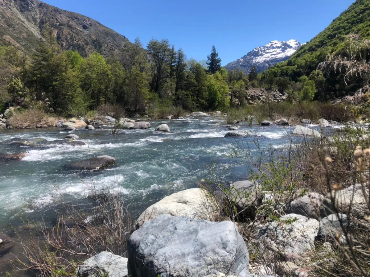 10 HECTÁREAS EN RÍO ACHIBUENO ALTA CORDILLERA DE LINARES — foto 3