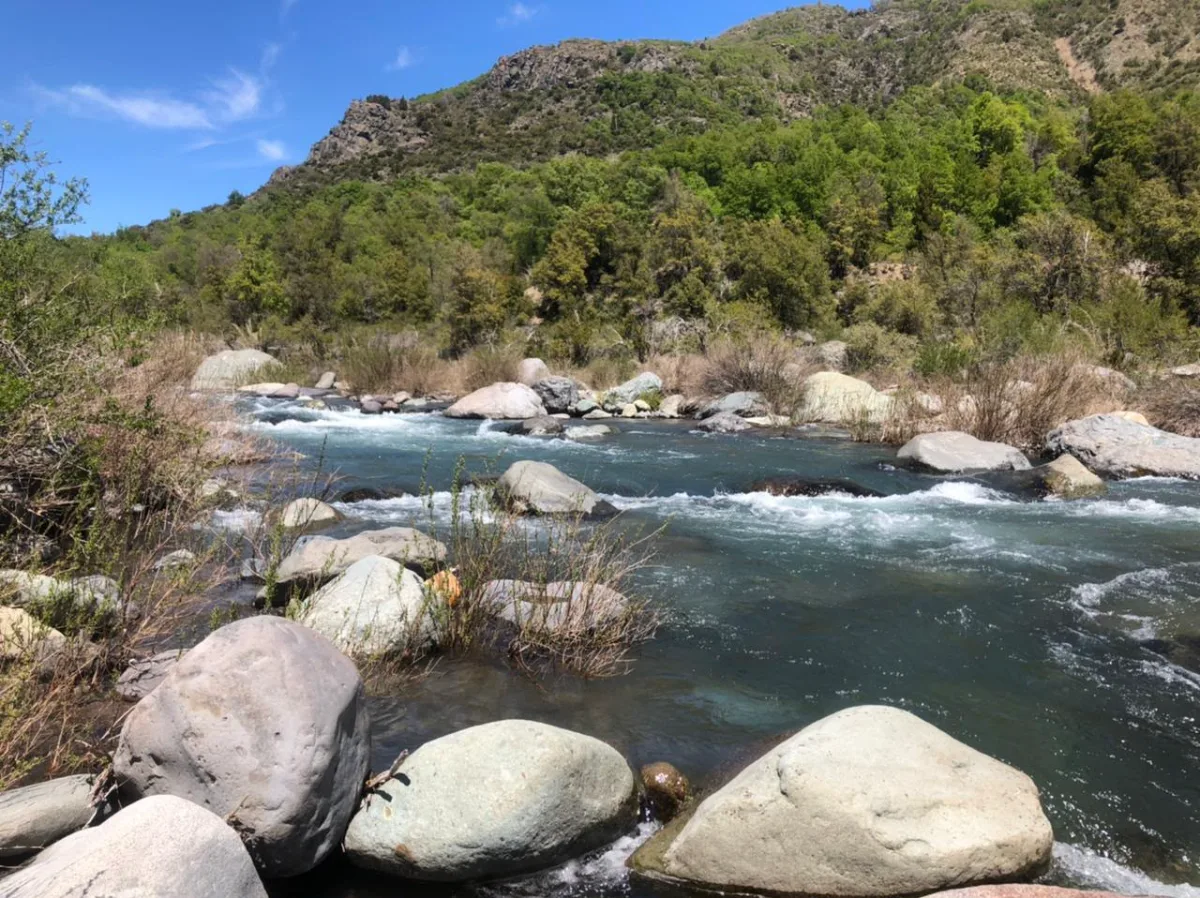 10 HECTÁREAS EN RÍO ACHIBUENO ALTA CORDILLERA DE LINARES — foto 1