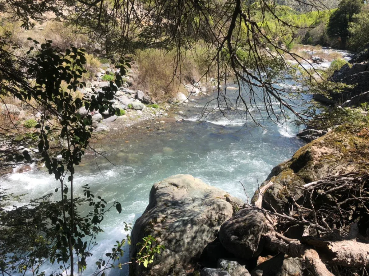 10 HECTÁREAS EN RÍO ACHIBUENO ALTA CORDILLERA DE LINARES — foto 6