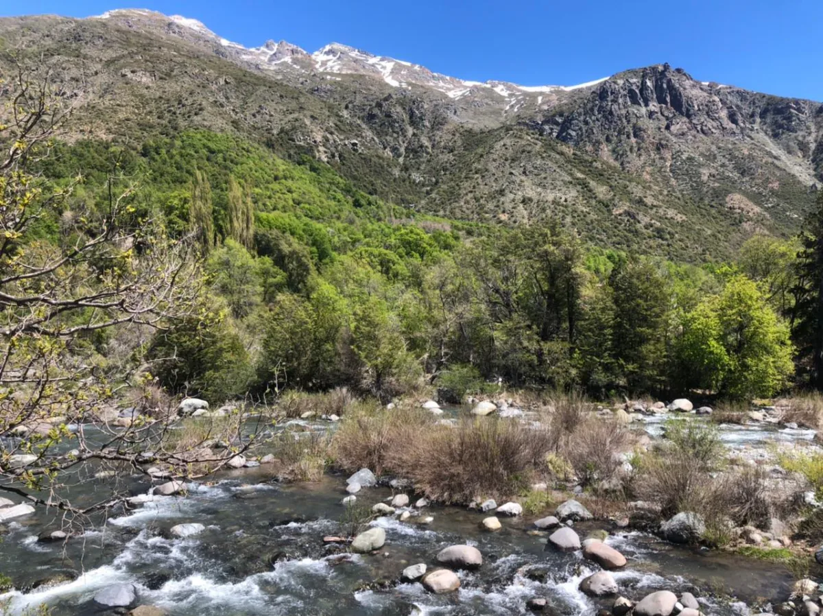 10 HECTÁREAS EN RÍO ACHIBUENO ALTA CORDILLERA DE LINARES — foto 5