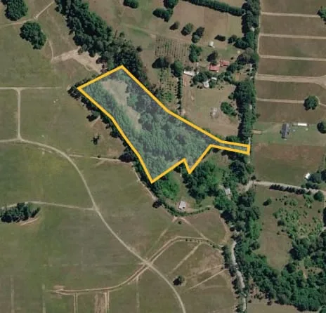 Parcela 15000m2, a 6 km de Los Lagos, Región de Los Rios — foto 2