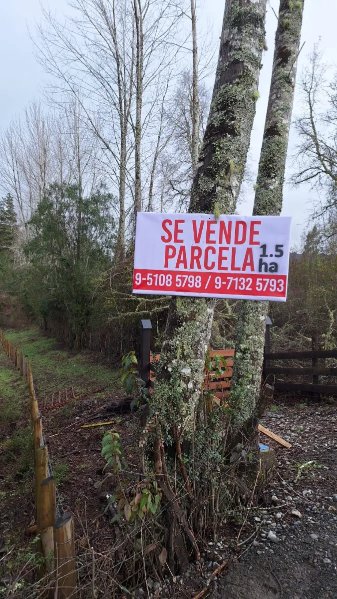 Parcela 15000m2, a 6 km de Los Lagos, Región de Los Rios — foto 5
