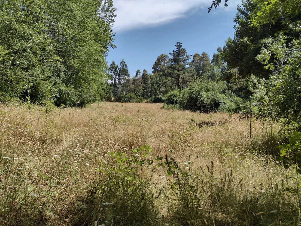 Parcela 15000m2, a 6 km de Los Lagos, Región de Los Rios — foto 8