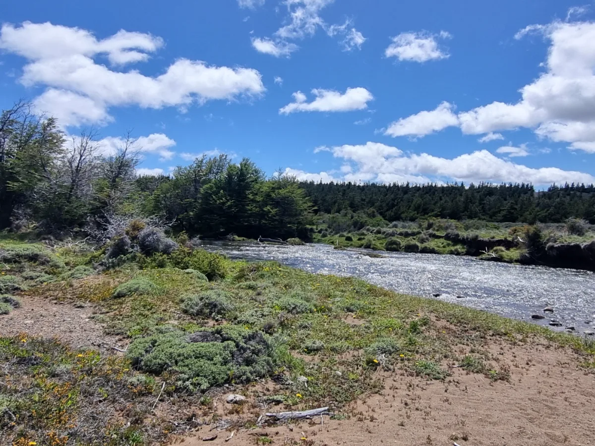 Parcela de 2 hectáreas en Patagonia Chilena — foto 5