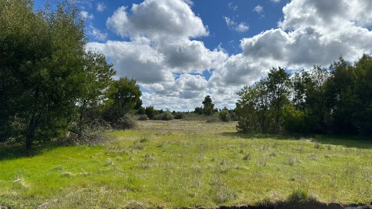 Parcelas de 5.000 m2. Comuna de Cabrero — foto 6