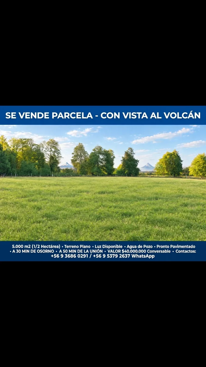 Parcela 5.000 mts, cerca de osorno y entrelagos — foto 3