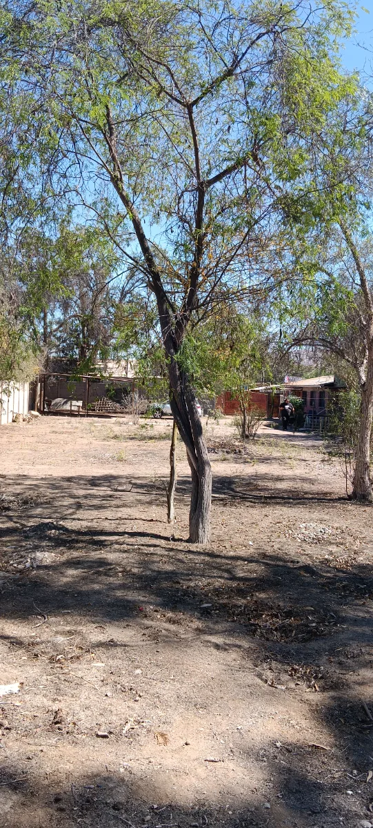 Parcela 1364.m², ATACAMA — foto 1