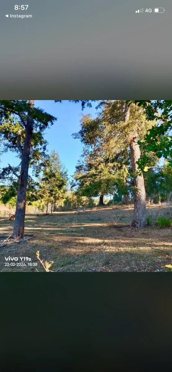 Parcelas 6.100 m² | Venta y Permuta — foto 5