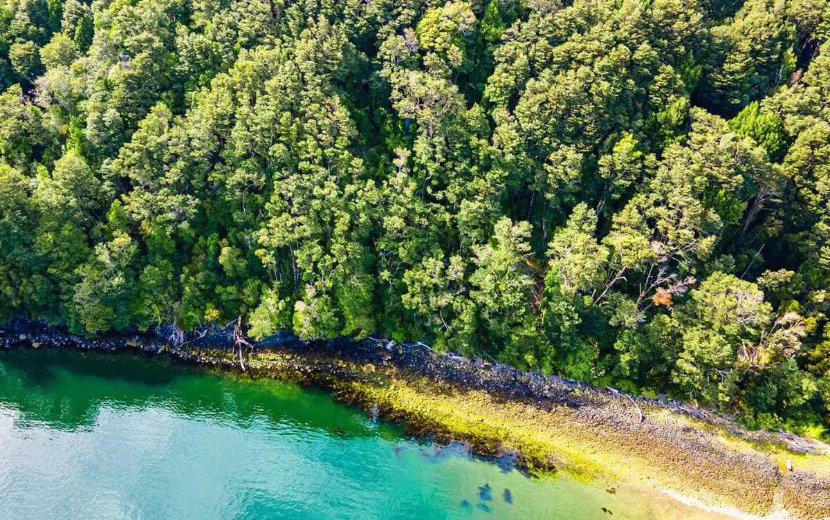 Espectacular terreno de conservación, Isla Elena, Aysen. — foto 7