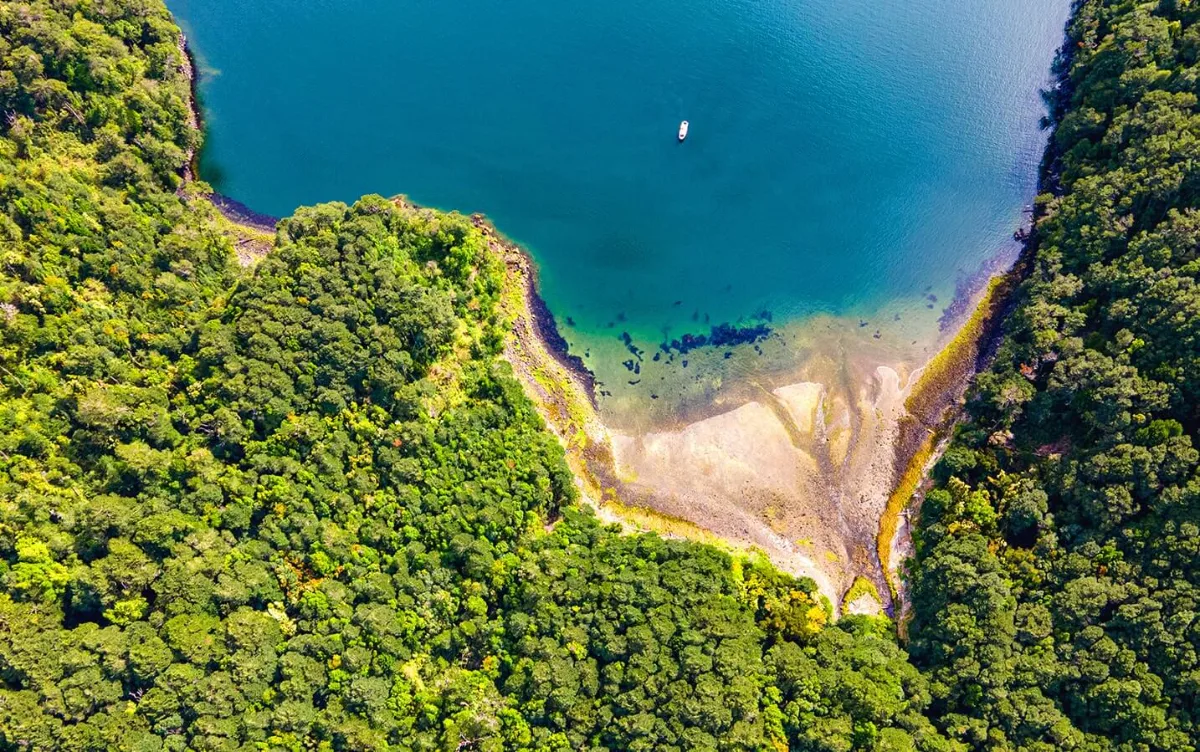 Espectacular terreno de conservación, Isla Elena, Aysen. — foto 6