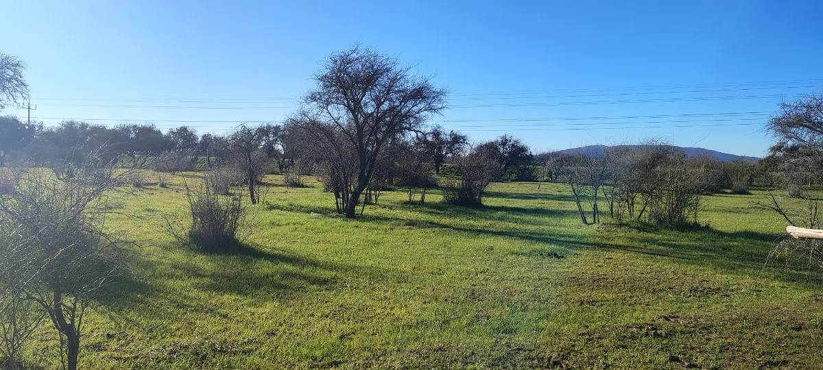 PARCELA EN SAN NICOLÁS – JUNTO A CARRETERA  — foto 1
