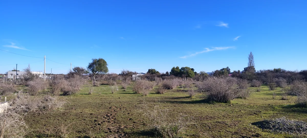 PARCELA EN SAN NICOLÁS – JUNTO A CARRETERA  — foto 4
