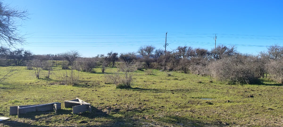 PARCELA EN SAN NICOLÁS – JUNTO A CARRETERA  — foto 3