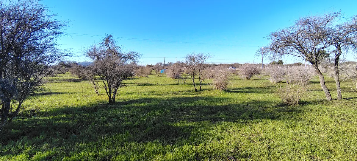 PARCELA EN SAN NICOLÁS – JUNTO A CARRETERA  — foto 2