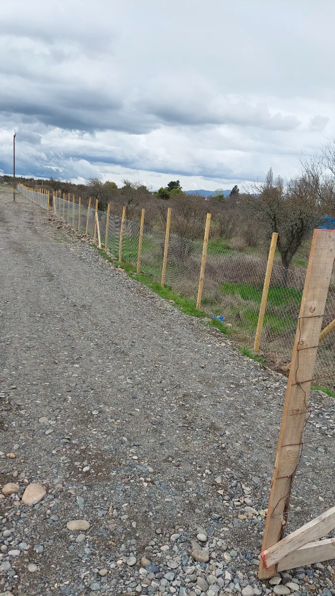PARCELA EN SAN NICOLÁS – JUNTO A CARRETERA  — foto 6