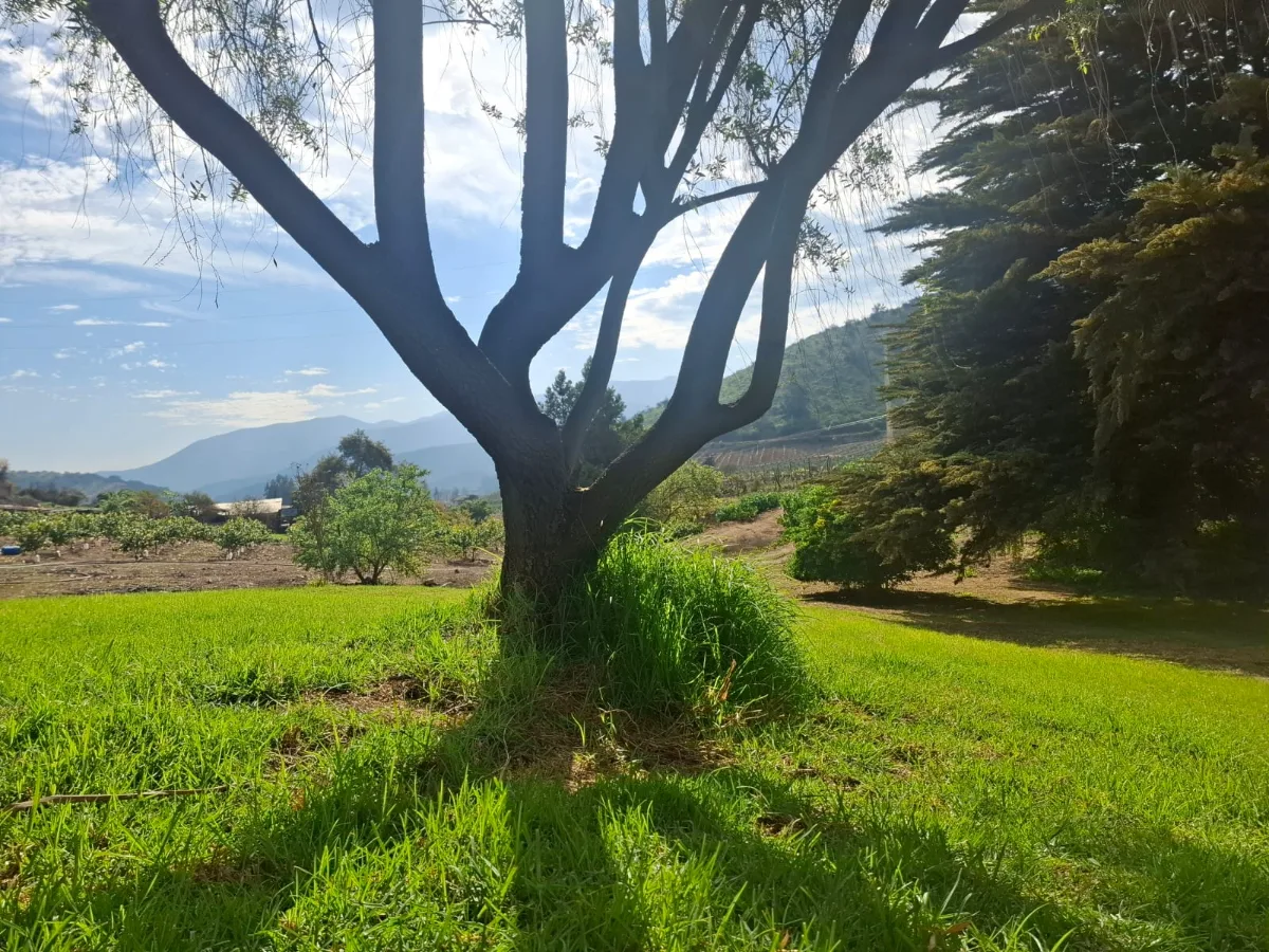 Parcela  5.000 m² en Mallarauco — foto 3
