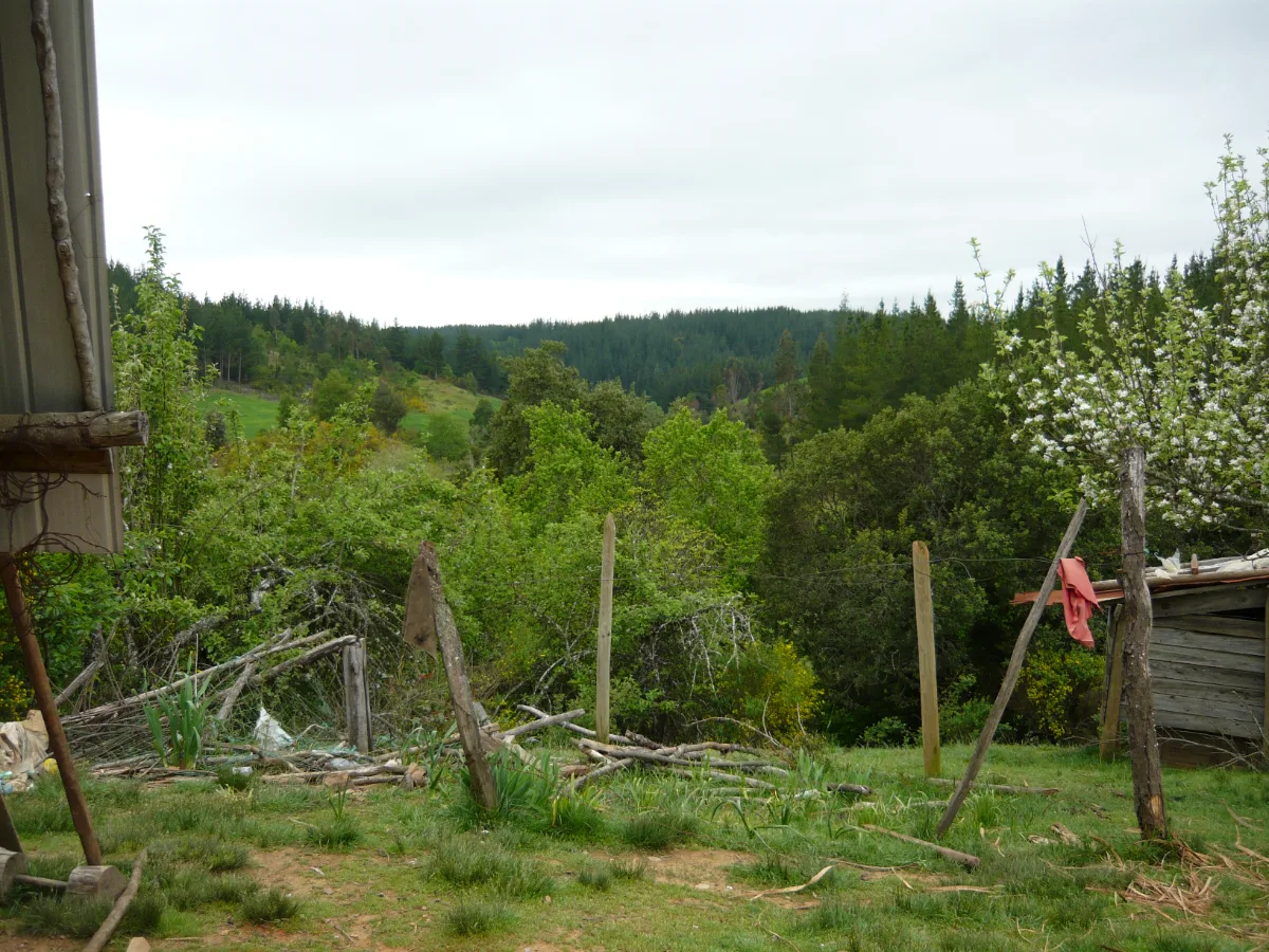 PARCELA DE 7.7 Hta.  — foto 3