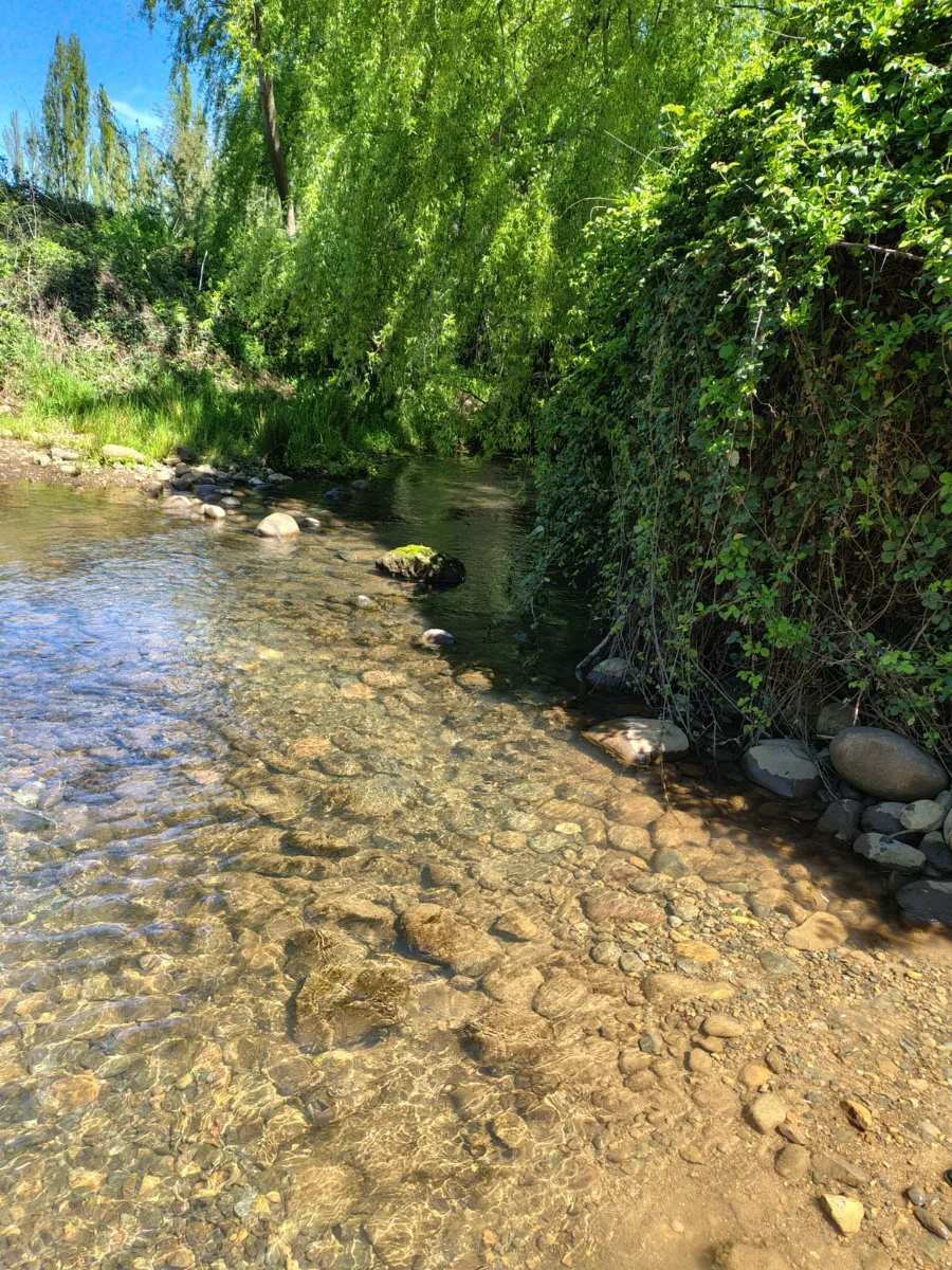Terrenos en venta a 30 minutos de las rastras, Talca. — foto 3