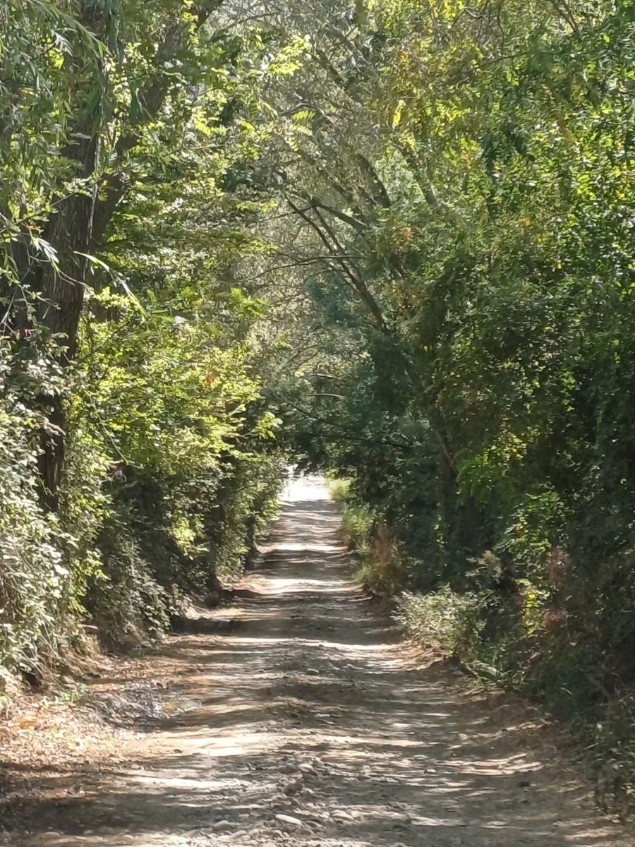 Terrenos en venta a 30 minutos de las rastras, Talca. — foto 4
