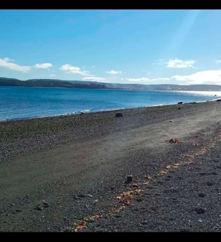 Venta de 1 hectárea (10 mil mts2) en Isla Laitec. — foto 6