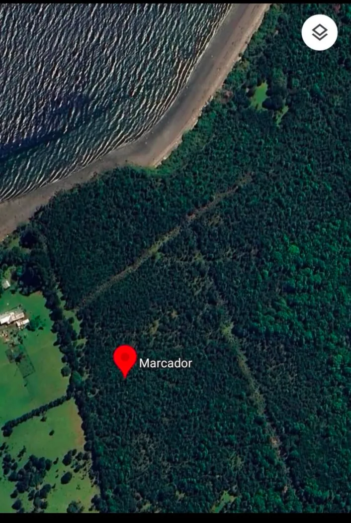 Venta de 1 hectárea (10 mil mts2) en Isla Laitec. — foto 3