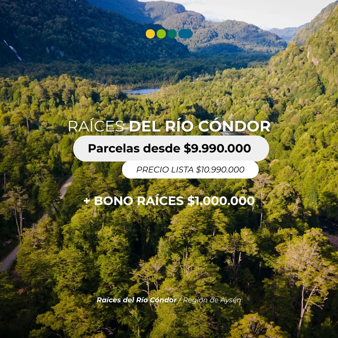 Parcela de 5000m2 en la Patagonia  — foto 2