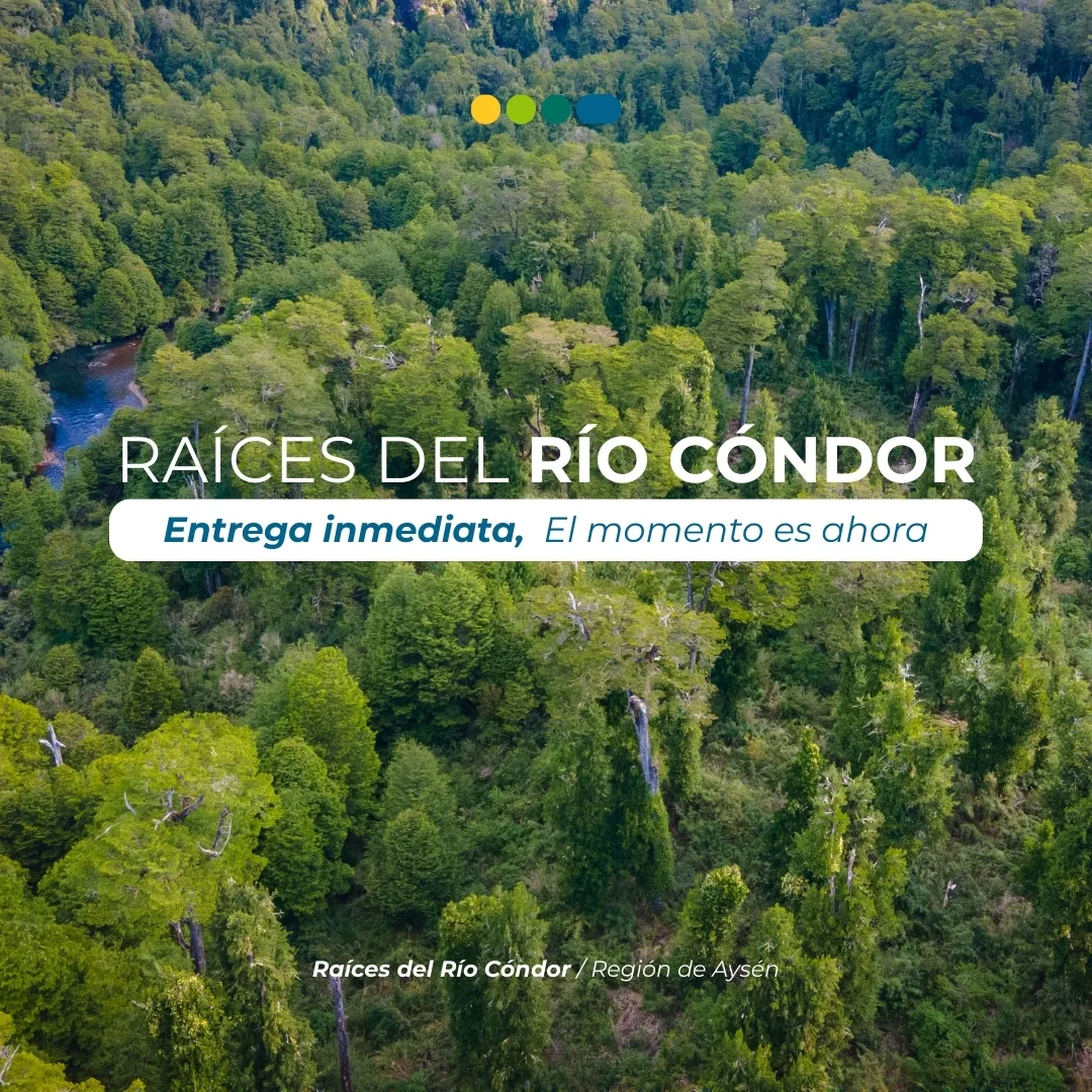 Parcela de 5000m2 en la Patagonia  — foto 4