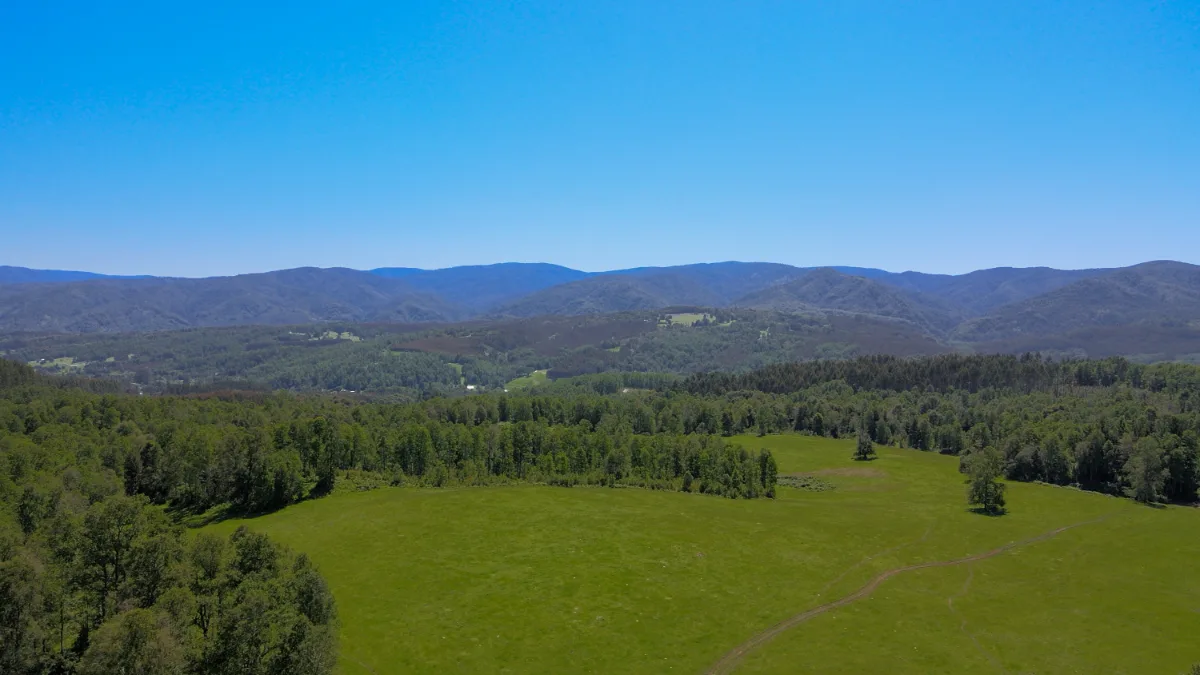 Parcela cercano Frutillar  — foto 2