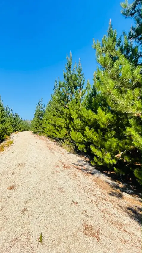 Parcela Paredones 5000 m2