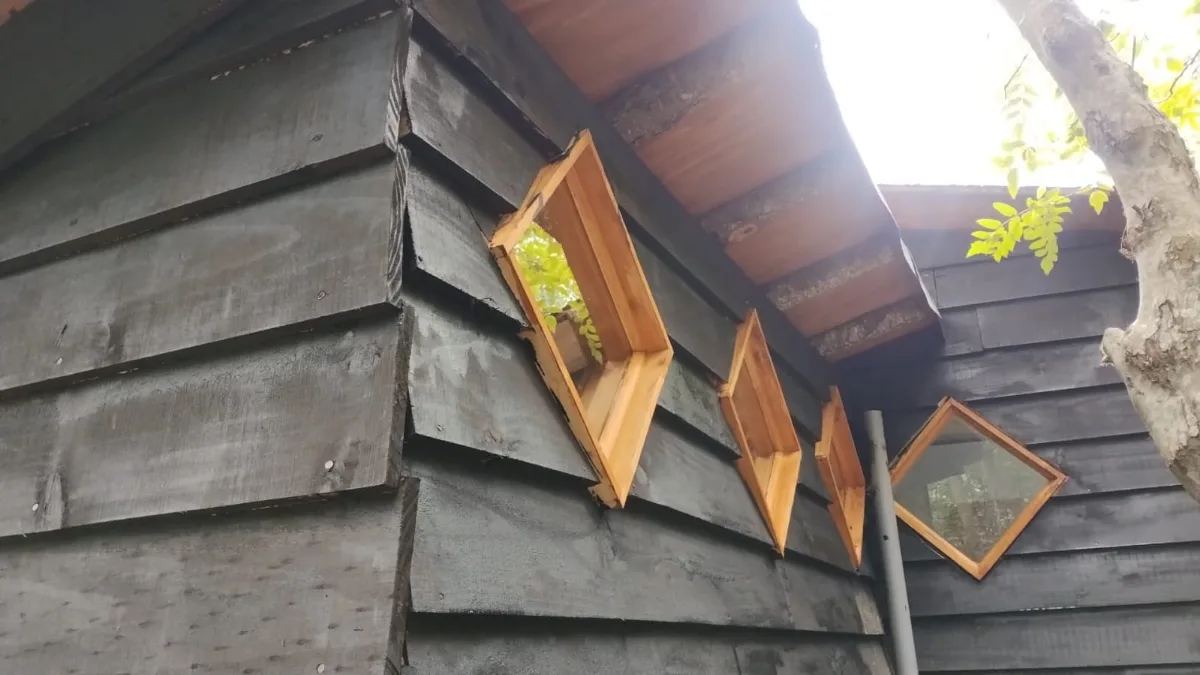 CABAÑA EN PARCELA BOSQUE NATIVO ,ACCESO RÍO — foto 11