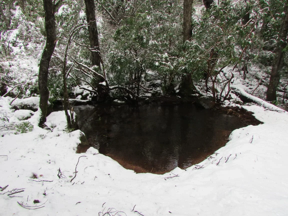 CABAÑA EN PARCELA BOSQUE NATIVO ,ACCESO RÍO — foto 15