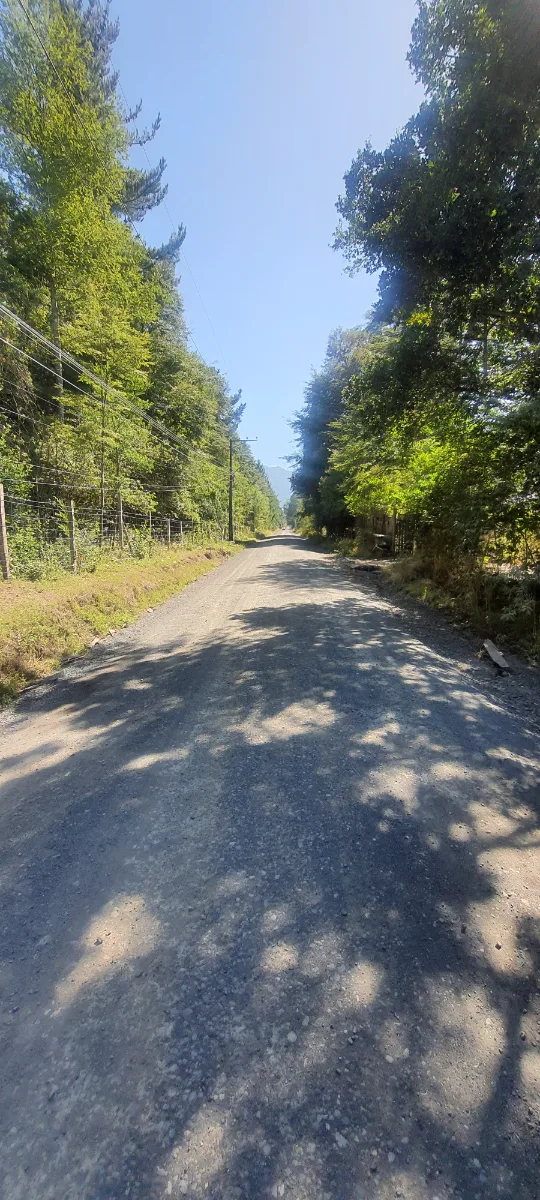 Parcela de 5000 m2 en Pucón — foto 5