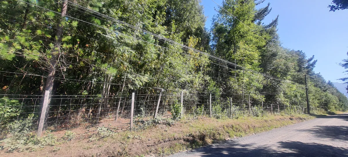 Parcela de 5000 m2 en Pucón — foto 2