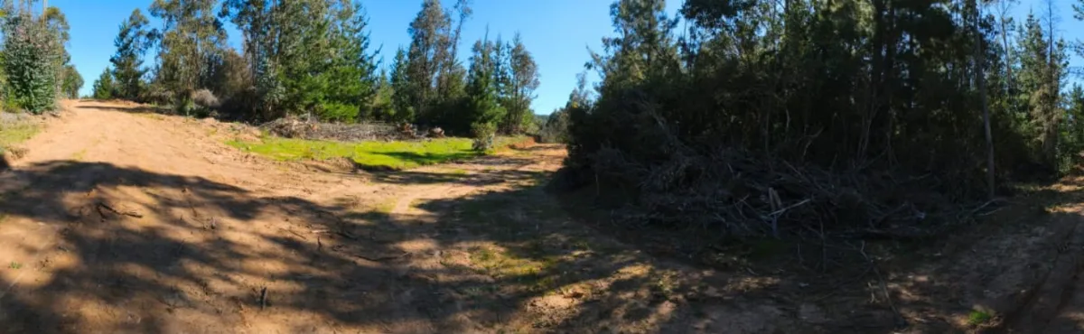 🌿 ¡Parcelas de 5.000 m² con Rol Propio en Licantén!🏡 — foto 6