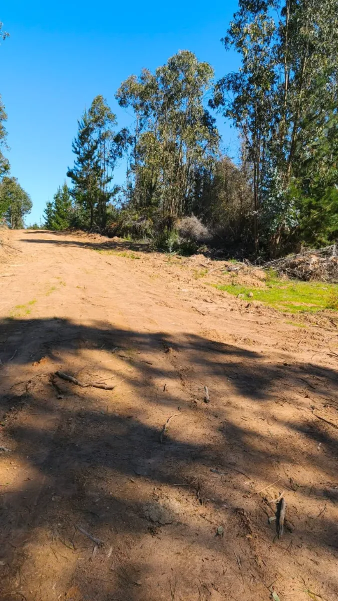 🌿 ¡Parcelas de 5.000 m² con Rol Propio en Licantén!🏡 — foto 8