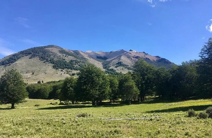 Parcela 5.000 m² Cerro Castillo, Aysén - Bosques de Ñirre