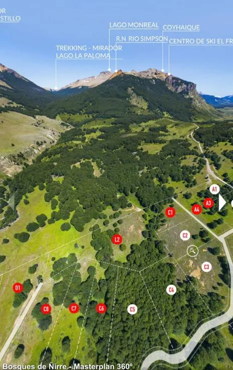 Parcela 5.000 m² Cerro Castillo, Aysén - Bosques de Ñirre — foto 4