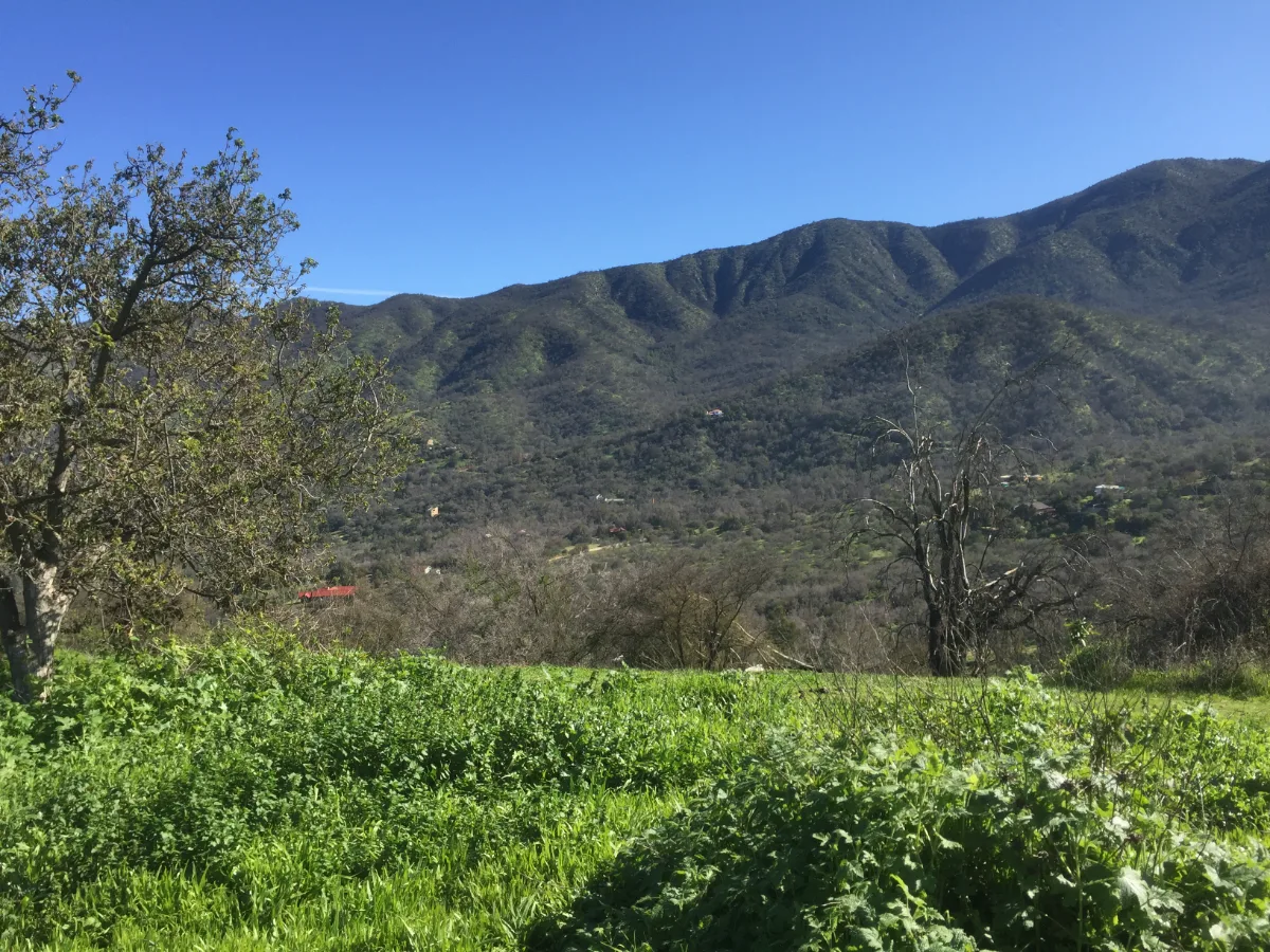Parcela 25 Hás en Curacaví — foto 4