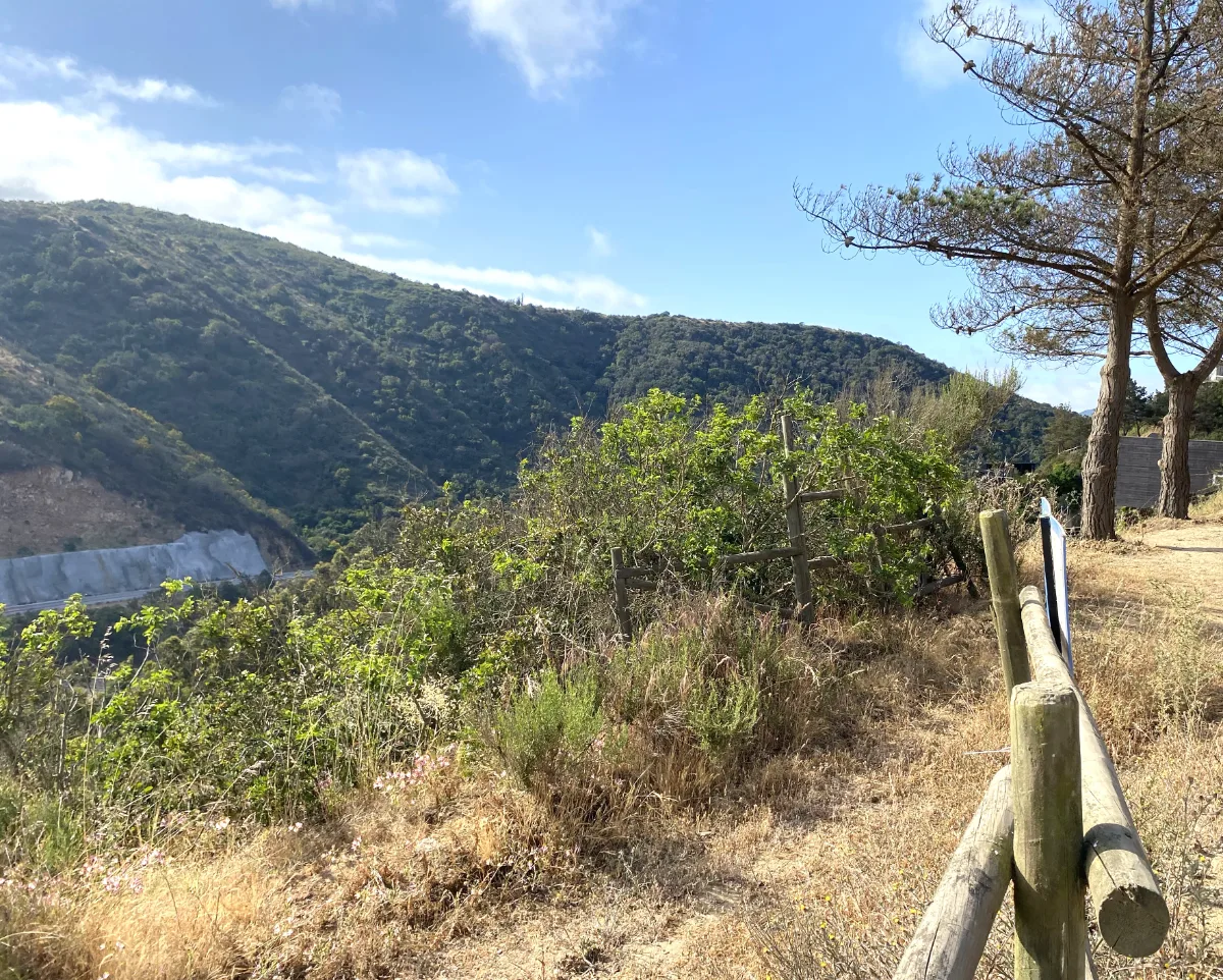 Parcela 5.000 m2 — foto 6